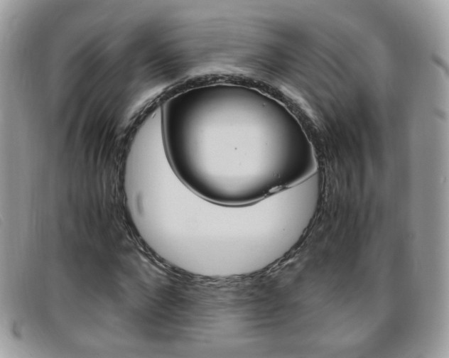 X0000095940872200801110852