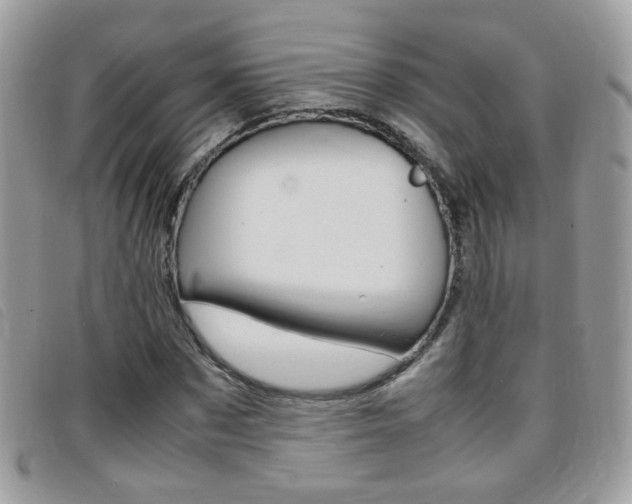 X0000095940873200801110852