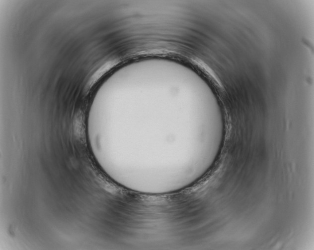 X0000095940874200801110852