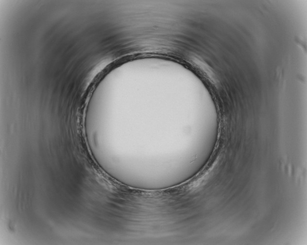 X0000095940875200801110852