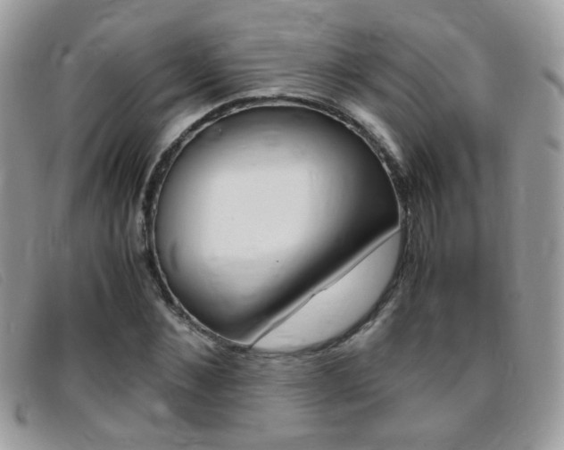 X0000095940876200801110852