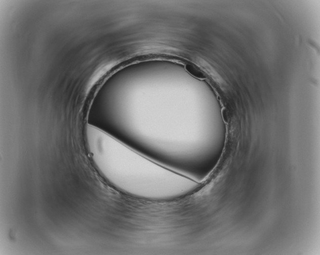 X0000095940877200801110852