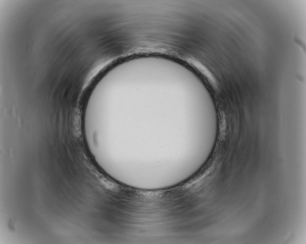 X0000095940878200801110852