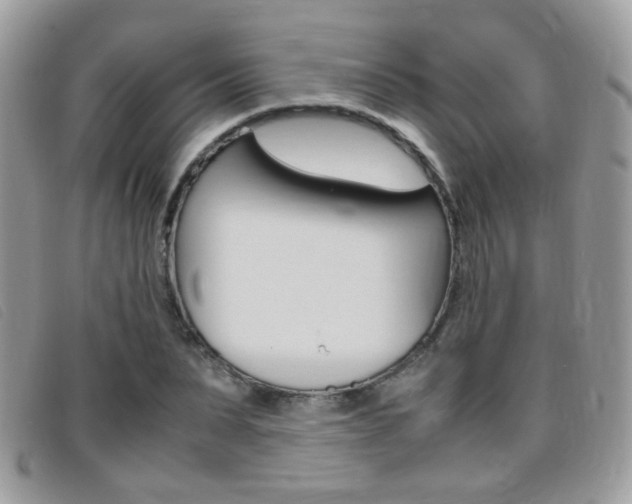 X0000095940879200801110852