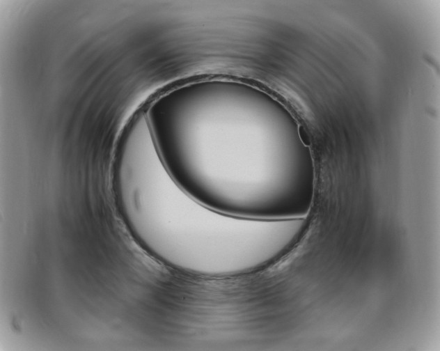 X0000095940880200801110852