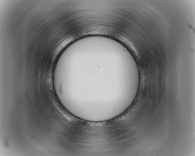 X0000095940882200801110852