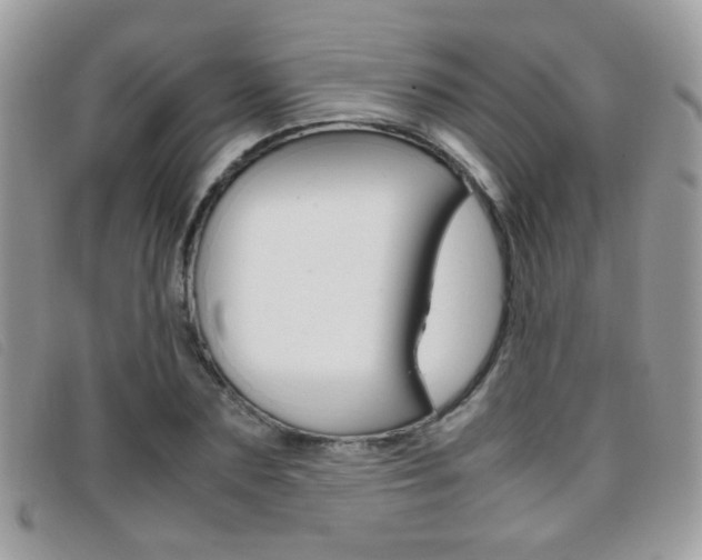 X0000095940883200801110852