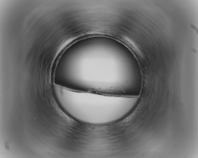 X0000095940884200801110852