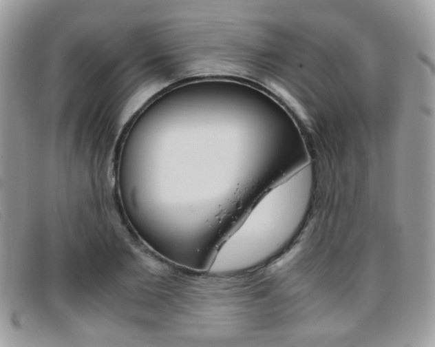 X0000095940885200801110852