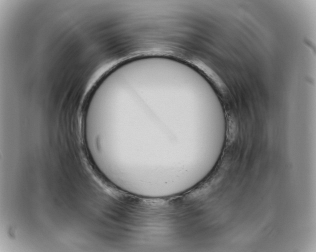 X0000095940886200801110852