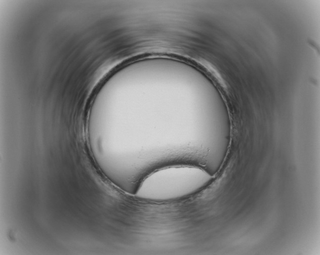 X0000095940887200801110852