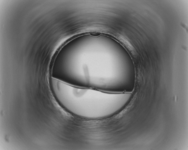 X0000095940888200801110852