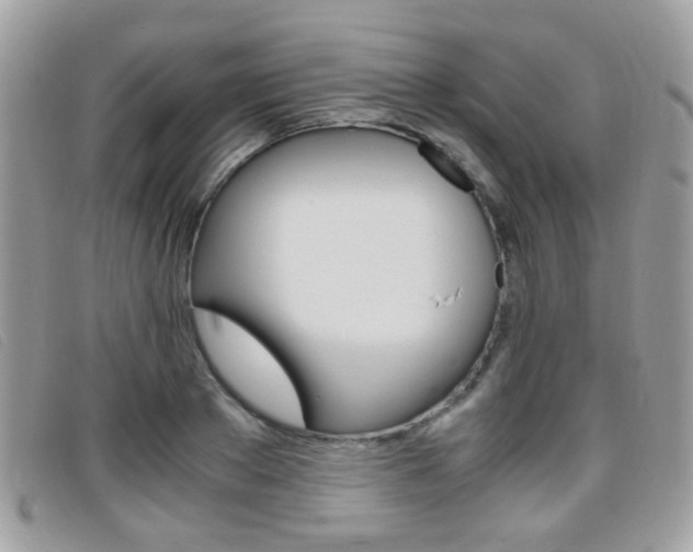 X0000095940889200801110852