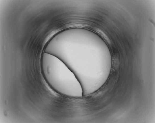 X0000095940890200801110852