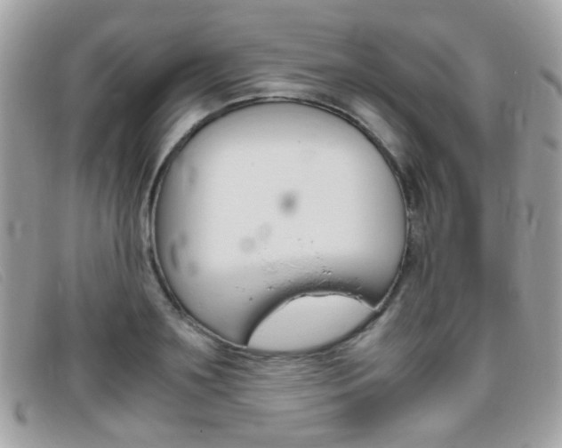 X0000095940891200801110852