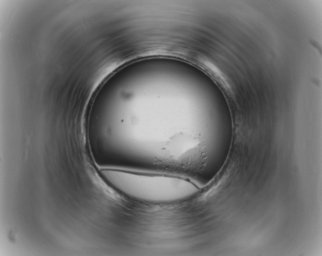 X0000095940892200801110852