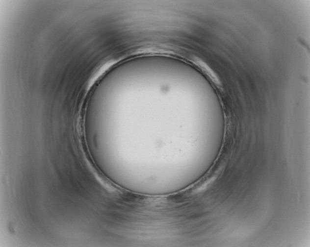 X0000095940893200801110852