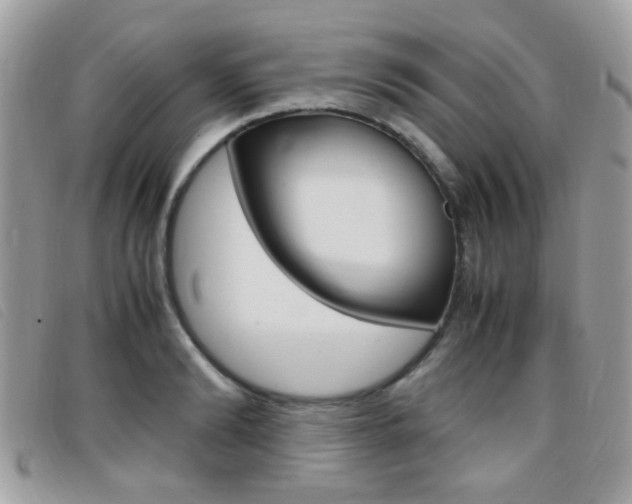 X0000095940894200801110852