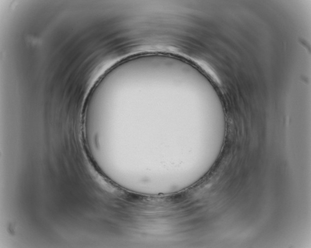 X0000095940895200801110852
