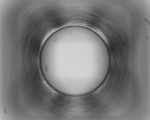 X0000095940896200801110852