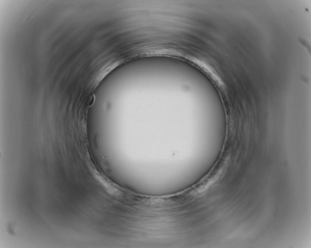 X0000095940897200801110852