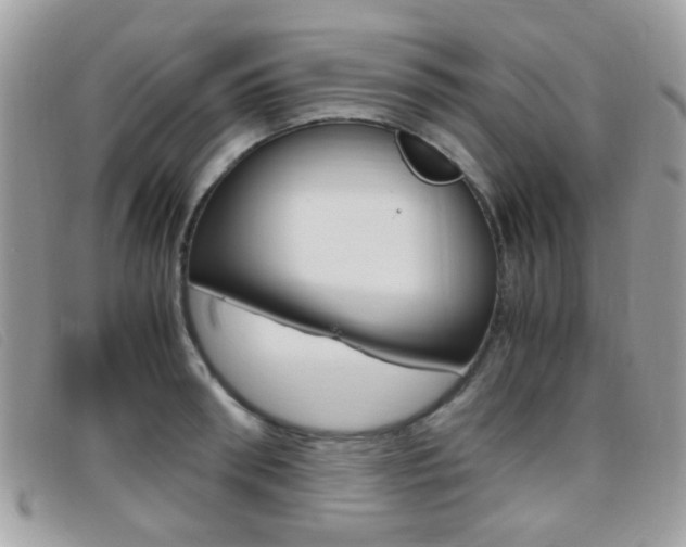 X0000095940898200801110852