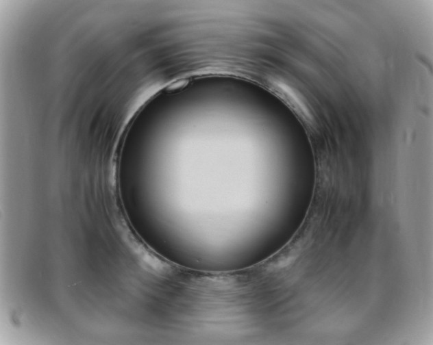 X0000095940900200801110852