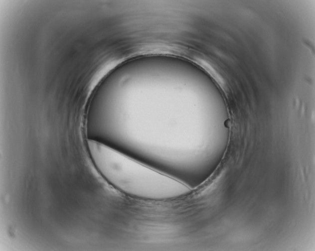 X0000095940901200801110852