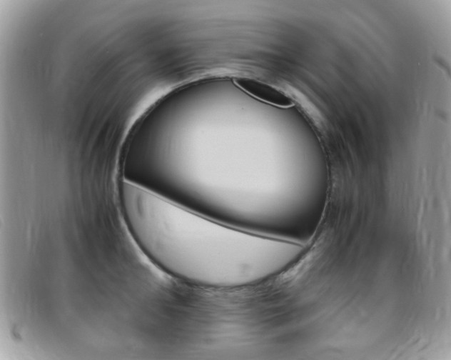 X0000095940902200801110852