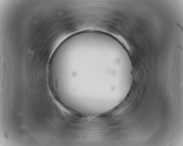 X0000095940903200801110852