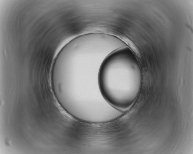 X0000095940904200801110852