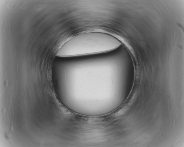X0000095940905200801110852