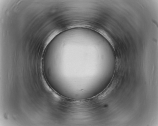 X0000095940906200801110852
