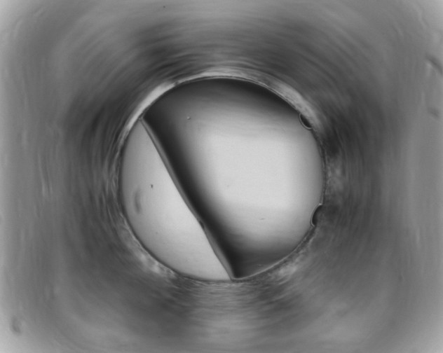 X0000095940908200801110852
