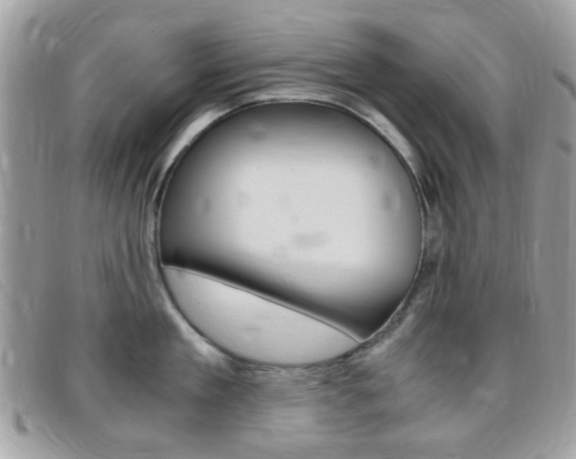 X0000095940909200801110852