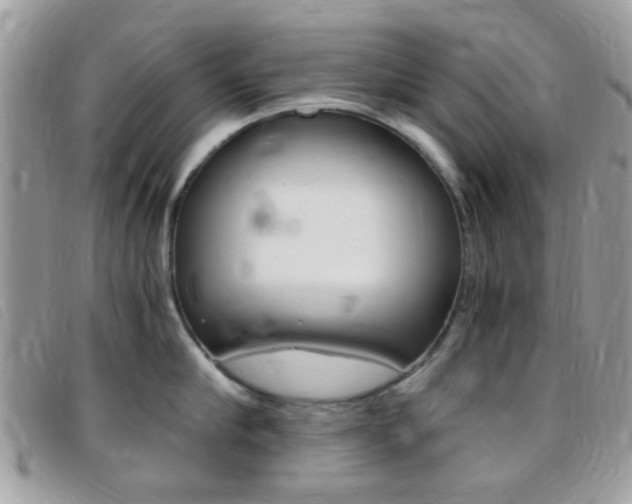 X0000095940910200801110852