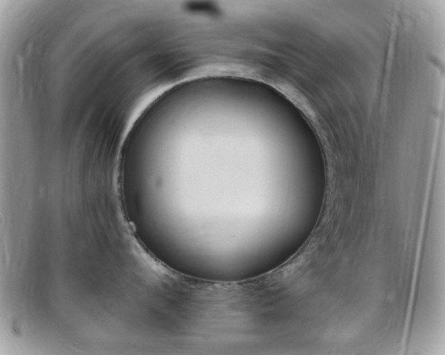 X0000095940912200801110852
