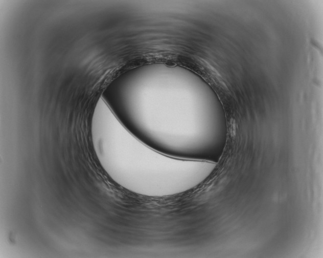 X0000095940915200801110851