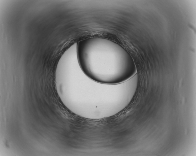 X0000095940916200801110851