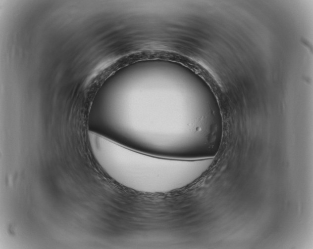 X0000095940919200801110851