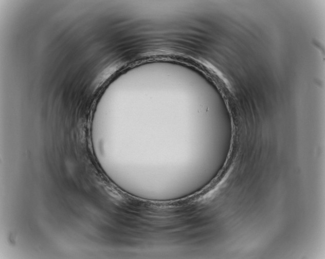 X0000095940921200801110851
