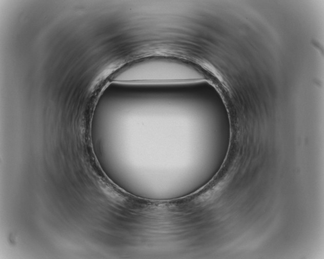 X0000095940922200801110851