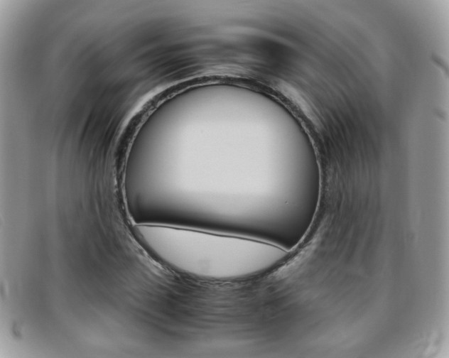 X0000095940923200801110851