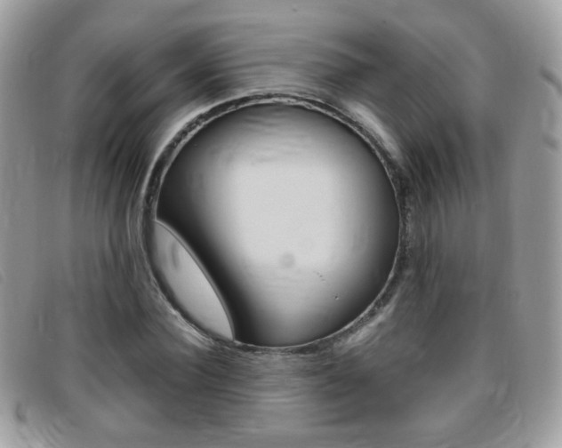 X0000095940924200801110851