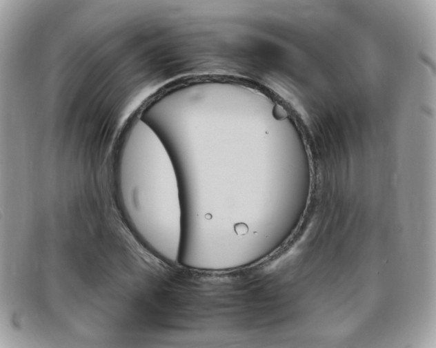 X0000095940925200801110851