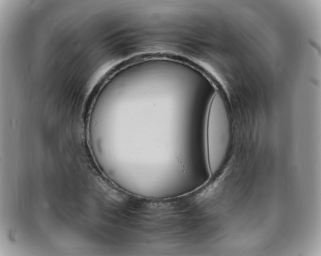 X0000095940927200801110851