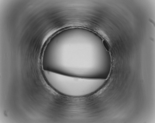 X0000095940928200801110851