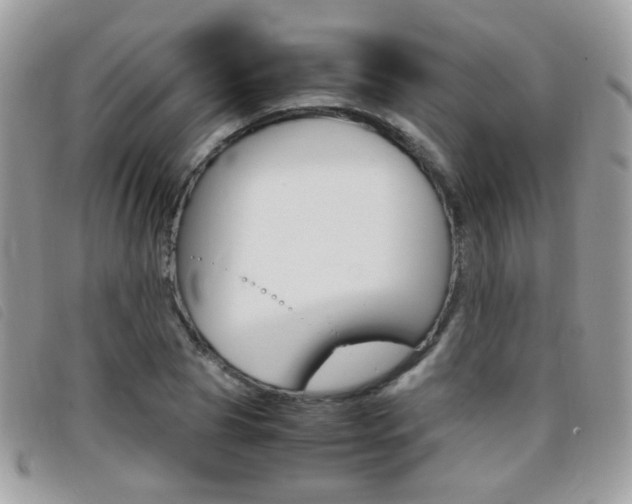 X0000095940929200801110851