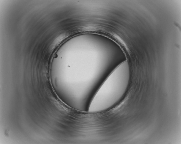 X0000095940930200801110851