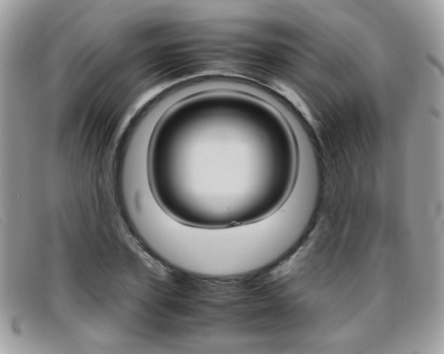 X0000095940931200801110851